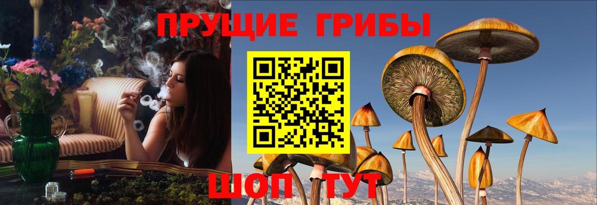Псилоцибиновые грибы мицелий  Вход с VPN  где купить наркотик  Галлюциногенные грибы MAGIC MUSHROOMS  Новороссийск 